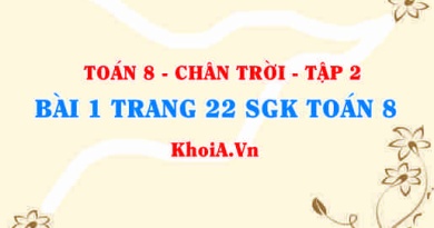 Bài 1 trang 22 Toán 8 Chân trời sáng tạo Tập 2